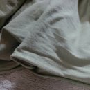 송21)톤다운연두싱글20수 이미지