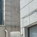 돈땡큐 | (내 돈 내산) 정자동 땡큐한/탱큐한 브런치 카페 솔직 후기: 망고 빙수 먹으러 갔다가 파스타 두 그릇...