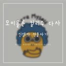 모이몰른 컬리수 다사 / 출산선물 신생아 축하선물