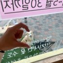 피자셔틀 이미지