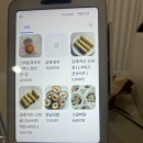 11500-12-24-102 | 광주 호남대, 선운지구 애견 사료 &amp; 케이크 집 " 멍냥 디저트"