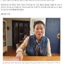 유기농감귤 - 오마이뉴스 인터뷰했어요 이미지