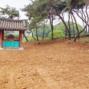 윤삼산 신도비 Daum카페