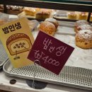 대원당 | [춘천] 춘천 빵지순례 대원당 빵추천 버터크림빵, 생크림슈, 대원당맘모스, 밤인생 후기
