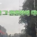 해가 이미지