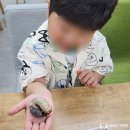 [포항 생태체험] 웅진북클럽 포항사업국에 찾아가는 곤충, 파충류 체험을 진행했습니다!