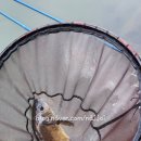 팔미리낚시터 이미지