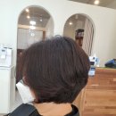 헤어보브 이미지