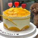 해운대케이크 :: 부산망고케이크 맛집 달콤부엌 | 망고 1호 후기 | 부모님 생신케이크 추천 !
