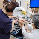 온가족소아청소년과의원 이미지