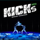 국가대표 영재 태권스쿨 이미지