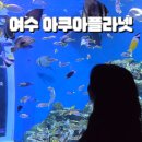 여수 아쿠아플라넷 아쿠아리움 입장권 할인 식당 인어 벨루가