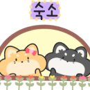 산청바이브 이미지