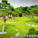 수목장 네이버블로그