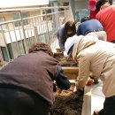 금천구 시흥2동 주민센터 이미지