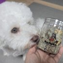 마시찌멍 이미지