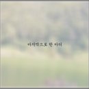 동강자연속으로 이미지