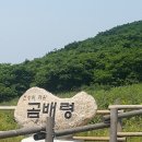 9/7 토요-"야생화의 천국" 설악산 점봉산,곰배령 트레킹 안내 이미지