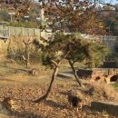 카페융가비 이미지