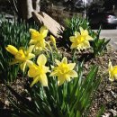 횡계고려의원 이미지