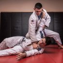 와이번 주짓수 합기도 이미지