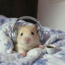 이* 네이버블로그