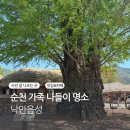가족나들이 | 순천 4월 가족나들이 최고 명소 낙안읍성 후기 카페로와로 마무리