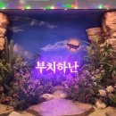 뮤지컬 부치하난 후기 | 고...고래다! 🐳 240919 노윤...이정수 하미미 정재헌 @홍익대 대학로 아트센터...