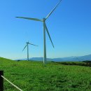 계천목장 이미지