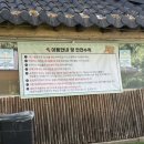 멍멍이와 숲속에서 이미지
