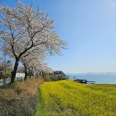 계리마을회관 이미지