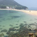 [산호빛 해변 비진도, 자미와 수다뜰 게스트하우스]_ 후기