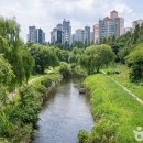 하늘과땅 이미지