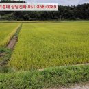 웅양면 오산경로당 이미지