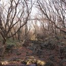 경승목장 이미지