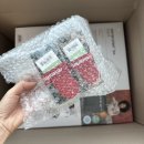 메이드휠펜션 | (캐리크루저) 캐리어 카트 라이젠탈 캐리크루저 ISO블랙 구입 후기