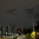 안중근치과의원 | 엄마 마주침, 하교, 야구 레슨 참관, 브런치카페, 치과, 저녁에 칼제비하고 비트 피클 만들었음. 백수가...