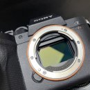 [Sold] Sony A7R4 카메라 팝니다. 이미지