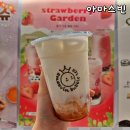 아마스빈 메뉴 딸기요거트 버블티 맛있게 먹는 팁