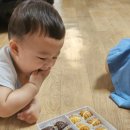 아이간식으로 좋은 천호당 초코치즈호두과자. 천안호두과자 후기