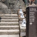 죽연마을(문척) | 뚜벅이 구례 여행 1박 2일 (사성암-대나무숲(라플라타)-천은사-구례옥잠-동아식당)