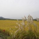 대원보건진료소 이미지