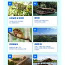 [24년도 6월 보홀 1일차] 보홀 데이투어+선셋/반딧불투어_240605