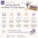 신비음악학원