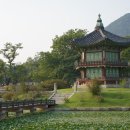 행정사 사무소 래인 이미지