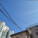 [뚝섬]내돈내산 사흘카레후기