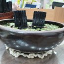 원주에이원공인중개사사무소 이미지