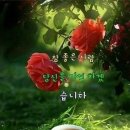 오늘하루 이미지