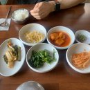 강화도 데이투(속을 뚫어버린 맛집 토가 / 데이지 마호가니카페)