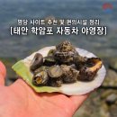 로그인 태안방포항점 | 태안 학암포 자동차 야영장 후기 A~D구역 명당 사이트 추천 및 편의시설 정리